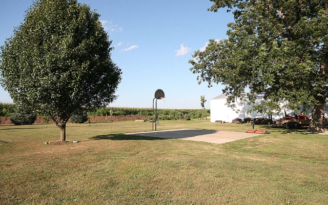 Basketball Court